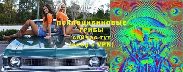 эйфоретик Алексин